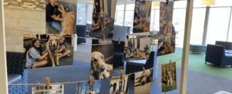 Concordia honors Nicodemus after death of beloved comfort dog