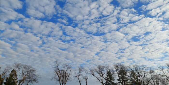 Coaching changes in men’s, women’s soccer bring alumnus Ochoa back to Concordia