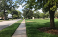 Cross country looks to develop already strong team