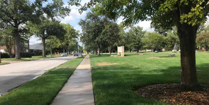 Cross country looks to develop already strong team
